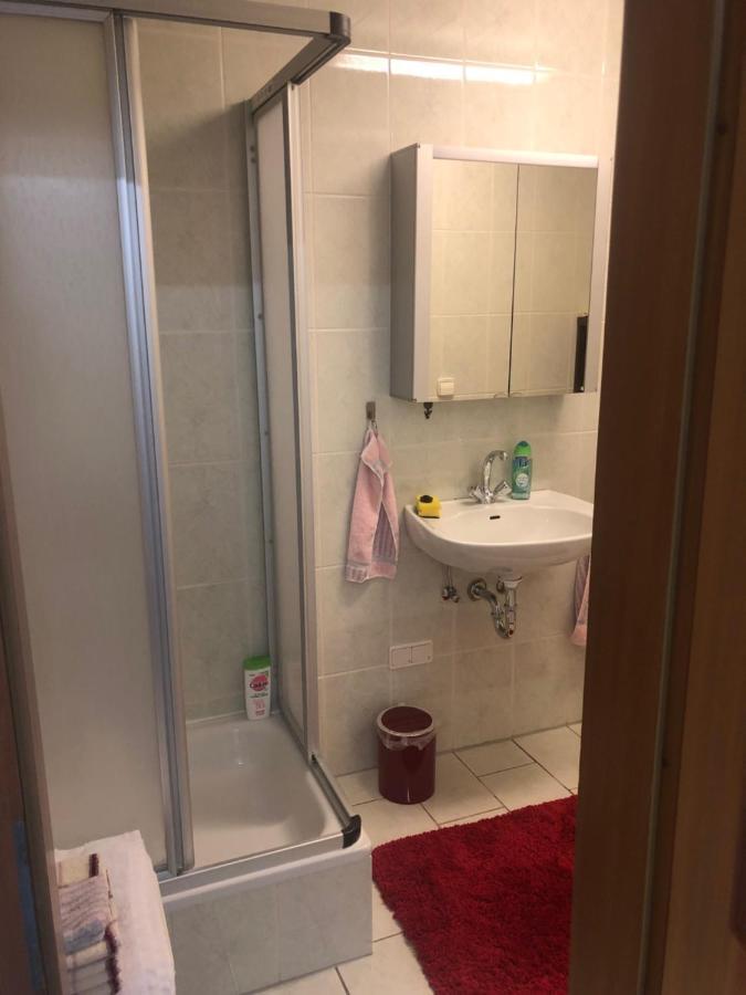 1-Zimmer Apartment, 45 Qm, Im Weinort Neustadt-Duttweiler นอยชตัดท์ อัน แดร์ ไวน์ชตราเซอ ภายนอก รูปภาพ